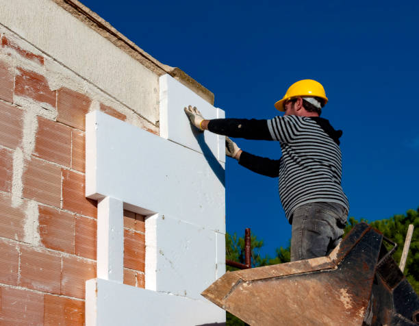 Best Local Insulation Services  in Williamsburg, VA