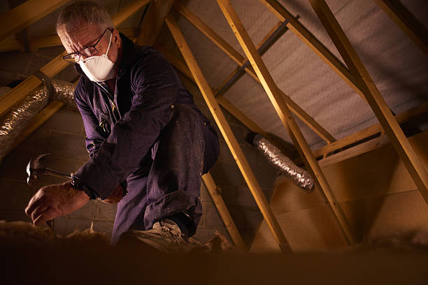 Best Insulation Inspection Services  in Williamsburg, VA