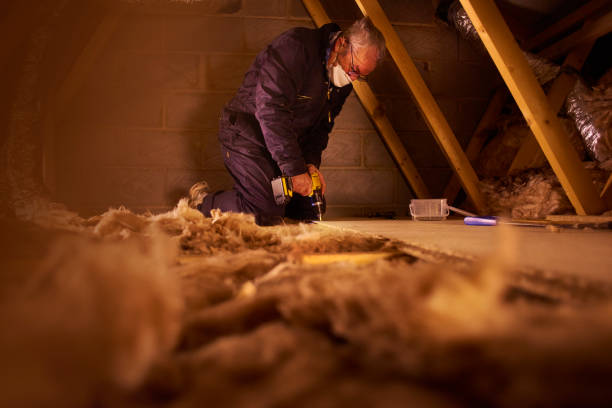 Best Professional Insulation Contractor  in Williamsburg, VA